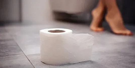 Historia papieru toaletowego - od mchu i paproci